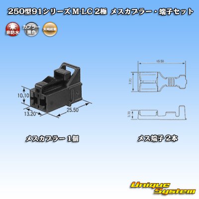 画像1: 矢崎総業 250型91シリーズ M-LCタイプ 非防水 2極 メスカプラー・端子セット タイプ1