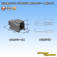 矢崎総業 250型91シリーズ M-LCタイプ 非防水 2極 オスカプラー・端子セット タイプ1