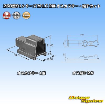 画像1: 矢崎総業 250型91シリーズ M-LCタイプ 非防水 2極 オスカプラー・端子セット タイプ1