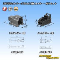 矢崎総業 250型91シリーズ M-LCタイプ 非防水 2極 カプラー・端子セット タイプ1