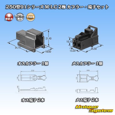 画像1: 矢崎総業 250型91シリーズ M-LCタイプ 非防水 2極 カプラー・端子セット タイプ1