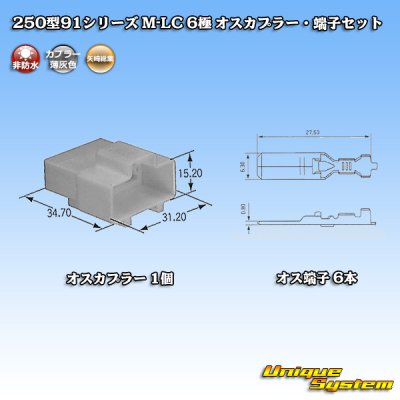 画像1: 矢崎総業 250型91シリーズ M-LCタイプ 非防水 6極 オスカプラー・端子セット