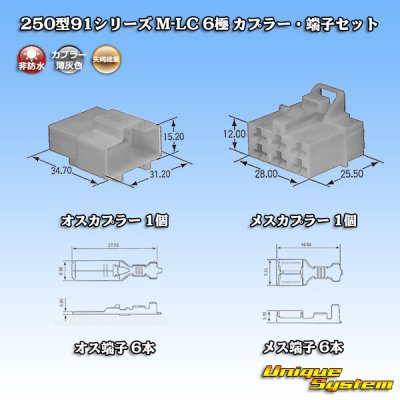 画像1: 矢崎総業 250型91シリーズ M-LCタイプ 非防水 6極 カプラー・端子セット