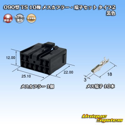 画像1: 住友電装 090型 TS 非防水 10極 メスカプラー・端子セット タイプ2 黒色