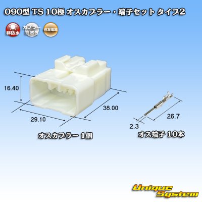 画像1: 住友電装 090型 TS 非防水 10極 オスカプラー・端子セット タイプ2