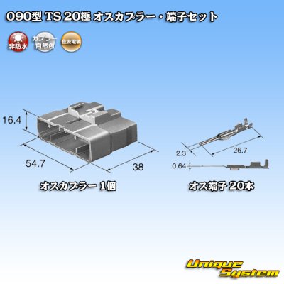 画像1: 住友電装 090型 TS 非防水 20極 オスカプラー・端子セット