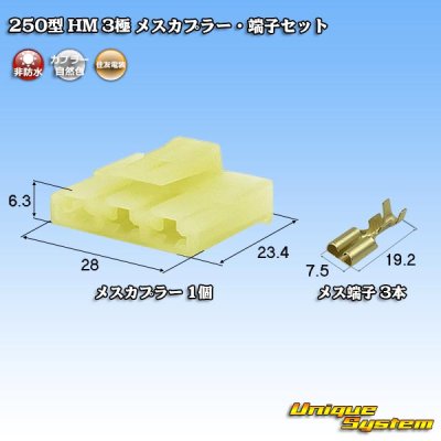 画像1: 住友電装 250型 HM 非防水 3極 メスカプラー・端子セット