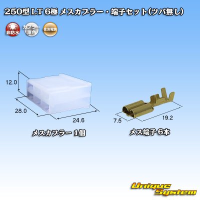 画像1: 住友電装 250型 LT 非防水 6極 メスカプラー・端子セット(ツバ無し)