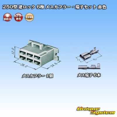 画像5: 住友電装 250型 逆ロック 非防水 6極 メスカプラー・端子セット 赤色