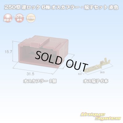 画像1: 住友電装 250型 逆ロック 非防水 6極 オスカプラー・端子セット 赤色