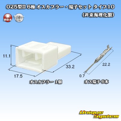 画像1: 025型II 非防水 6極 オスカプラー・端子セット タイプ10 (非東海理化製)