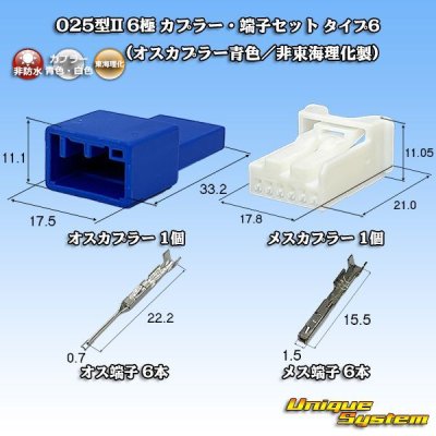 画像1: 東海理化 025型II 非防水 6極 カプラー・端子セット タイプ6 (オス側非東海理化製)