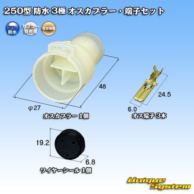 画像1: 住友電装 250型 防水 3極 オスカプラー・端子セット