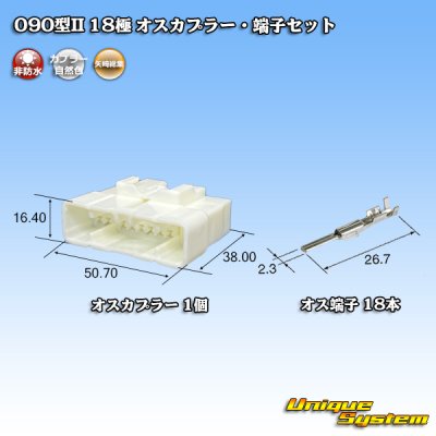 画像1: 矢崎総業 090型II 非防水 18極 オスカプラー・端子セット