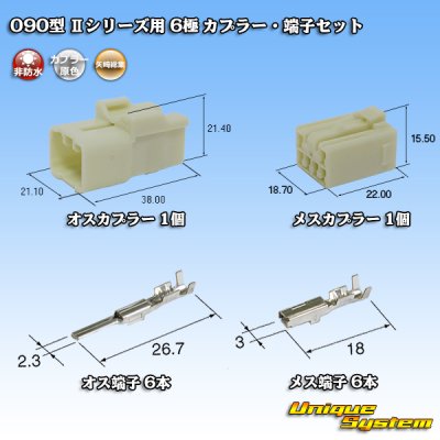 画像1: 矢崎総業 090型II 非防水 6極 カプラー・端子セット タイプ1