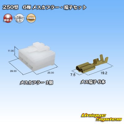 画像1: 矢崎総業 250型 CN(A) 非防水 6極 メスカプラー・端子セット