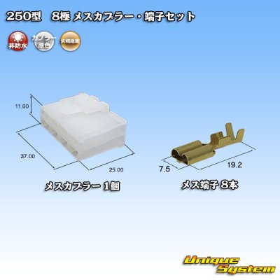 画像1: 矢崎総業 250型 CN(A) 非防水 8極 メスカプラー・端子セット