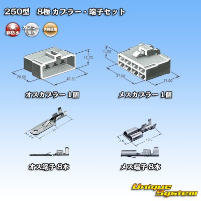 画像5: 矢崎総業 250型 CN(A) 非防水 8極 カプラー・端子セット