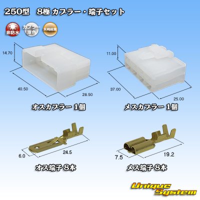 画像1: 矢崎総業 250型 CN(A) 非防水 8極 カプラー・端子セット