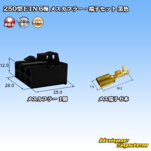 画像: 住友電装 250型 ETN 非防水 6極 メスカプラー・端子セット 黒色