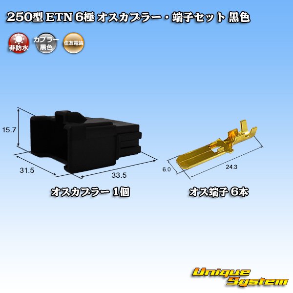 画像1: 住友電装 250型 ETN 非防水 6極 オスカプラー・端子セット 黒色 (1)