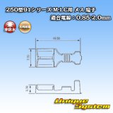 画像: 矢崎総業 250型91シリーズ M-LCタイプ 非防水 メス端子 適合電線：0.85-2.0mm