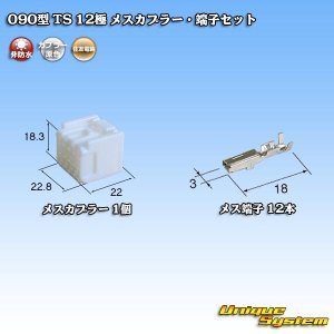 画像: 住友電装 090型 TS 非防水 12極 メスカプラー・端子セット