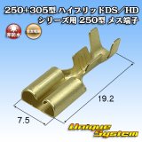 画像: 住友電装 250+305型 ハイブリッド DS/HDシリーズ用 250型 非防水 メス端子