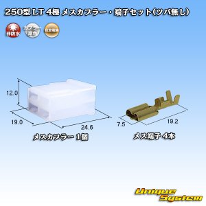 画像: 住友電装 250型 LT 非防水 4極 メスカプラー・端子セット(ツバ無し)