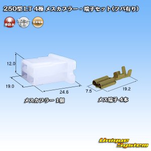 画像: 住友電装 250型 LT 非防水 4極 メスカプラー・端子セット(ツバ有り)