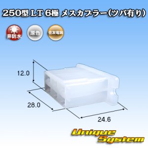 画像: 住友電装 250型 LT 非防水 6極 メスカプラー(ツバ有り)