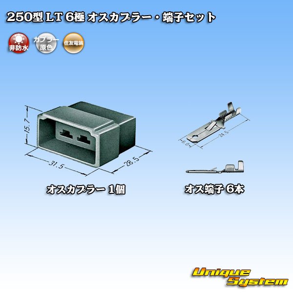 画像4: 住友電装 250型 LT 非防水 6極 オスカプラー・端子セット (4)