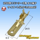 画像: 住友電装 250型 LTシリーズ用 非防水 オス端子 サイズ：L(2.0-3.0mm2)