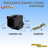 画像: 住友電装 250型 逆ロック 非防水 2極 オスカプラー・端子セット 黒色 (ブラケット有り)