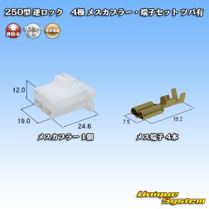 画像: 住友電装 250型 逆ロック 非防水 ツバあり 4極 メスカプラー・端子セット