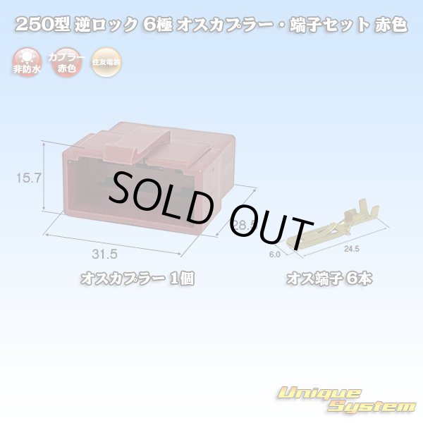 画像1: 住友電装 250型 逆ロック 非防水 6極 オスカプラー・端子セット 赤色 (1)