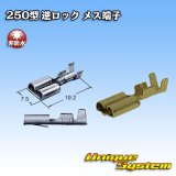 画像: 住友電装 250型 逆ロックシリーズ用 非防水 メス端子 サイズ：M(0.5-2.0mm2)