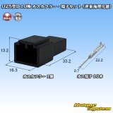 画像: 025型II 非防水 10極 オスカプラー・端子セット (非東海理化製)