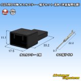 画像: 025型II 非防水 6極 オスカプラー・端子セット 黒色 (非東海理化製)