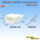 画像: 025型II 非防水 6極 オスカプラー・端子セット タイプ4 (非東海理化製)