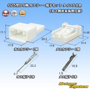 画像: 東海理化 025型II 非防水 6極 カプラー・端子セット タイプ5 (オス側非東海理化製/メスカプラー白色)