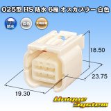 画像: 矢崎総業 025型 HS 防水 6極 メスカプラー タイプ1 白色