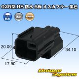 画像: 矢崎総業 025型 HS 防水 6極 オスカプラー タイプ1 黒色