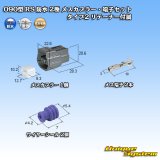 画像: 住友電装 090型 RS 防水 2極 メスカプラー・端子セット タイプ2 リテーナー付属