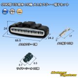 画像: 住友電装 090型 TS 防水 10極 メスカプラー・端子セット