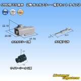 画像: 住友電装 090型 TS 防水 2極 オスカプラー・端子セット タイプ2