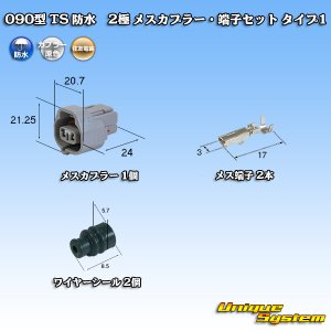 画像: 住友電装 090型 TS 防水 2極 メスカプラー・端子セット タイプ1 灰色