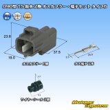 画像: 住友電装 090型 TS 防水 2極 オスカプラー・端子セット タイプ6