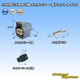 画像: 住友電装 090型 TS 防水 2極 メスカプラー・端子セット タイプ5