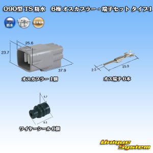 画像: 住友電装 090型 TS 防水 6極 オスカプラー・端子セット タイプ1